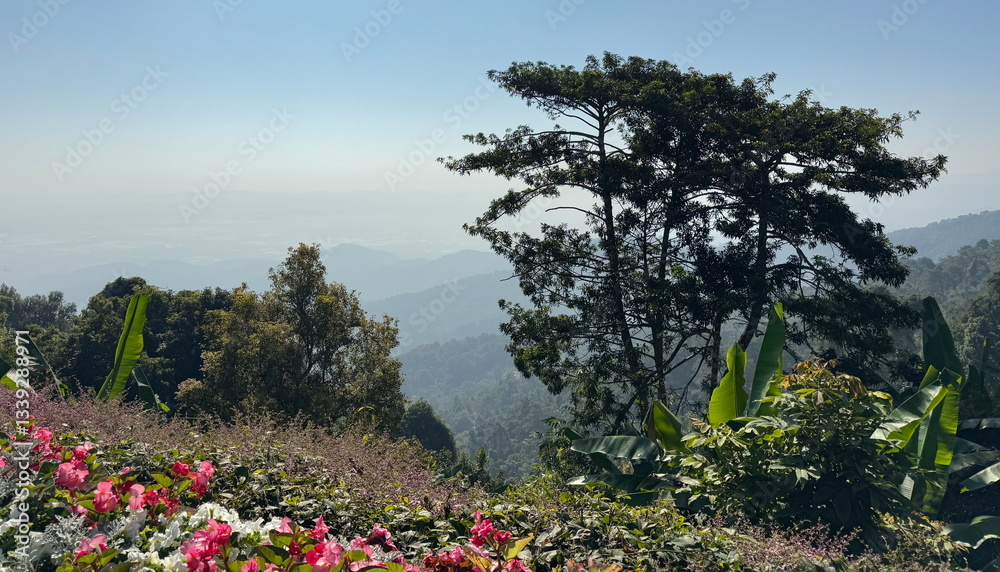 Beautiful view of landscape in Royal Villa in Chiang Rai, Thailand