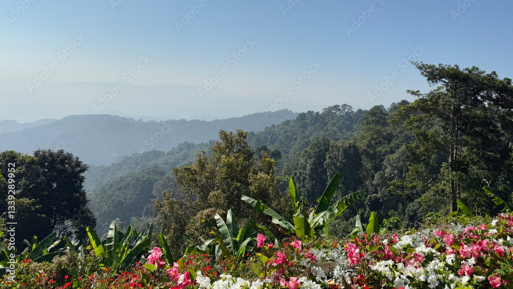Beautiful view of landscape in Royal Villa in Chiang Rai, Thailand