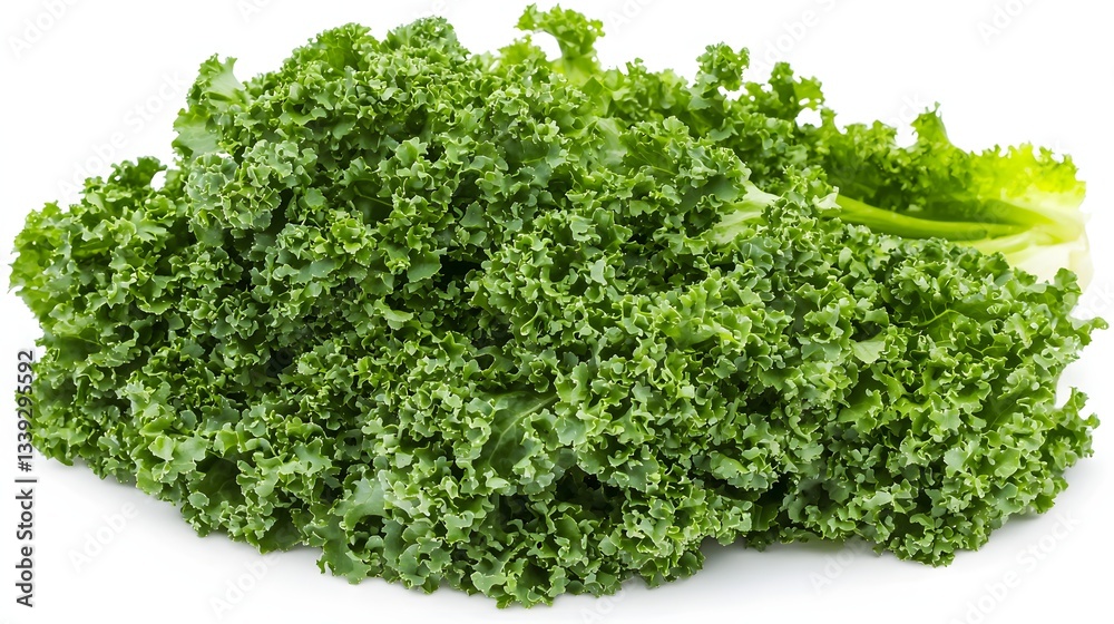 Fresh Organic Kale Bunch with Vibrant Green Leaves Ready for Culinary Use in Healthy Dishes Fresh Organic Kale Bunch with Vibrant Green Leaves Ready for Culinary Use in Healthy Dishes