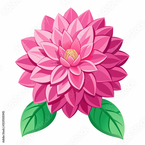 pink dahlia isolated on white