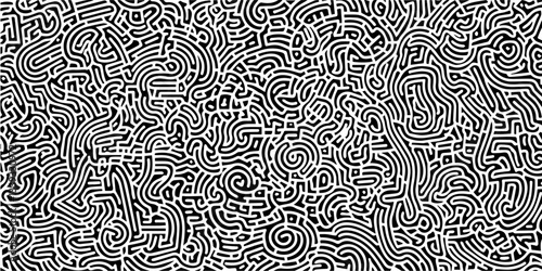 dense abstract maze pattern with continuous hand drawn curved lines in black and white