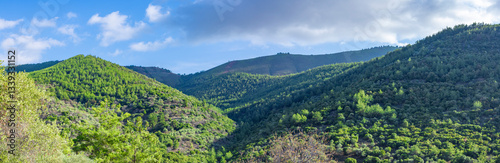 Grüne Hügelkette auf de Insel Thasos in Griechenland