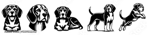 dog illustrations in various poses and expressions vector