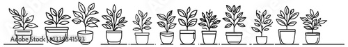 potted houseplants black and white hand drawn illustration set