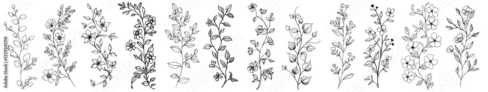 Fototapeta premium botanical branches with small leaves collection