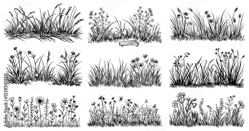 meadow grass and wildflower elements collection