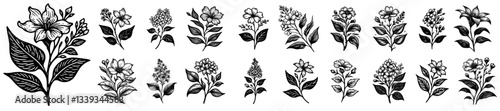 blooming flower bouquet and sprig collection in engraving style