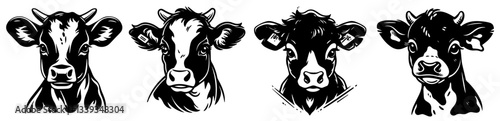 cow portraits in sketch style for farm, dairy and vintage rural design