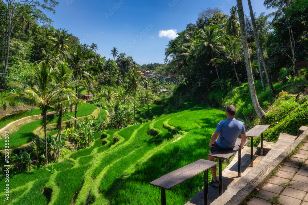 A tranquil scene showcasing a man enjoying the stunning beauty of rice terraces in Bali, creating a perfect atmosphere for relaxation and deep appreciation of natures wonders, Ubud, Indonesia