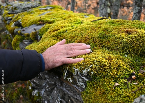 mano de un hombre tocando musgo verde
