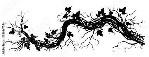 twisting ivy vine branch black and white silhouette illustration