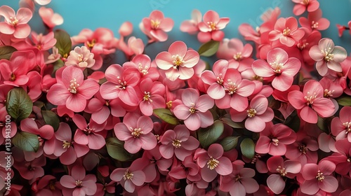 Beautiful Blossoming Branch of Plum Tree With Pink Flowers in Springtime