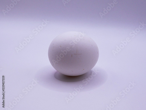 One white chicken egg, on a light background, close-up
