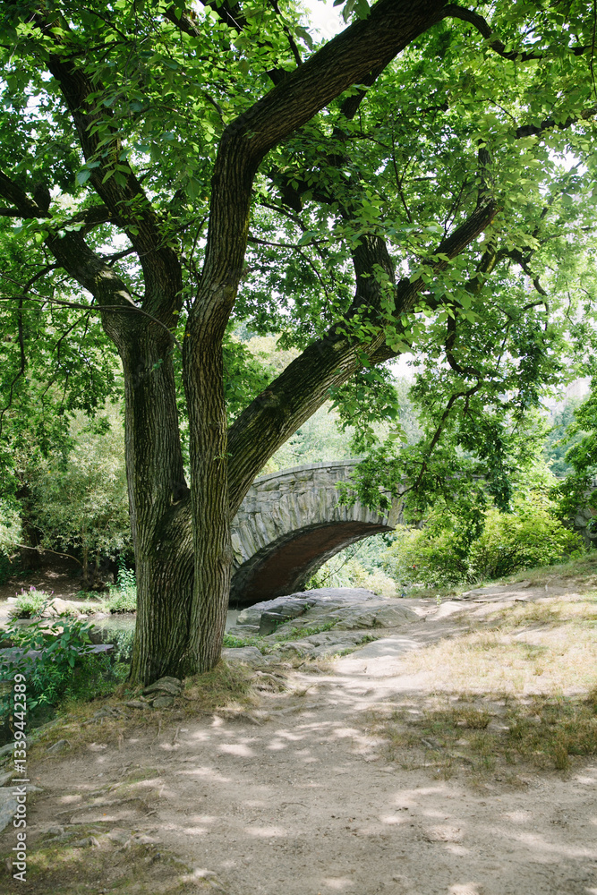 Fototapeta premium Beautiful stone bridge nestled in lush greenery along a serene riverbank on a sunny day
