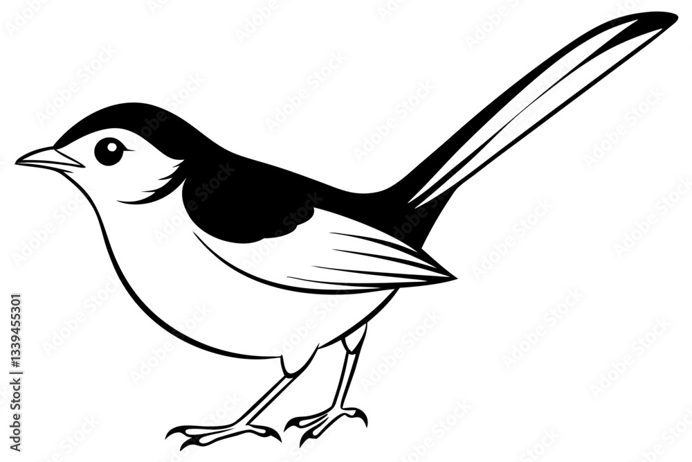 Obraz premium fairy wren line art silhouette vector illustration