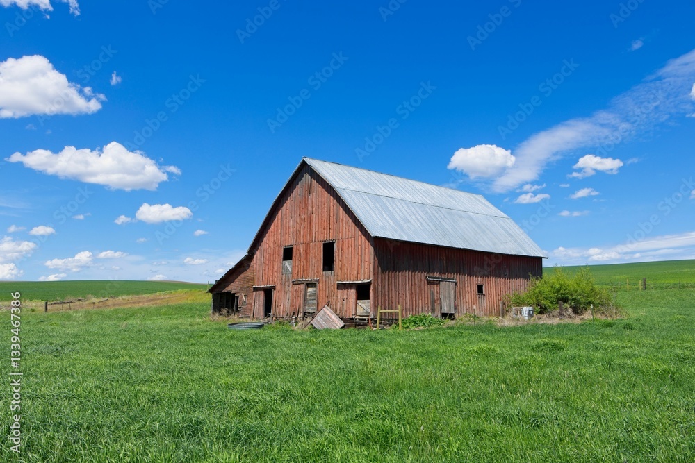 Rustic Red Barn in Lush Field Rustic Red Barn in Lush Field