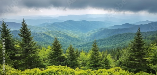 Vast Mountain View Showcasing Lush Greenery and Soft Sunlight Filtering Throu...