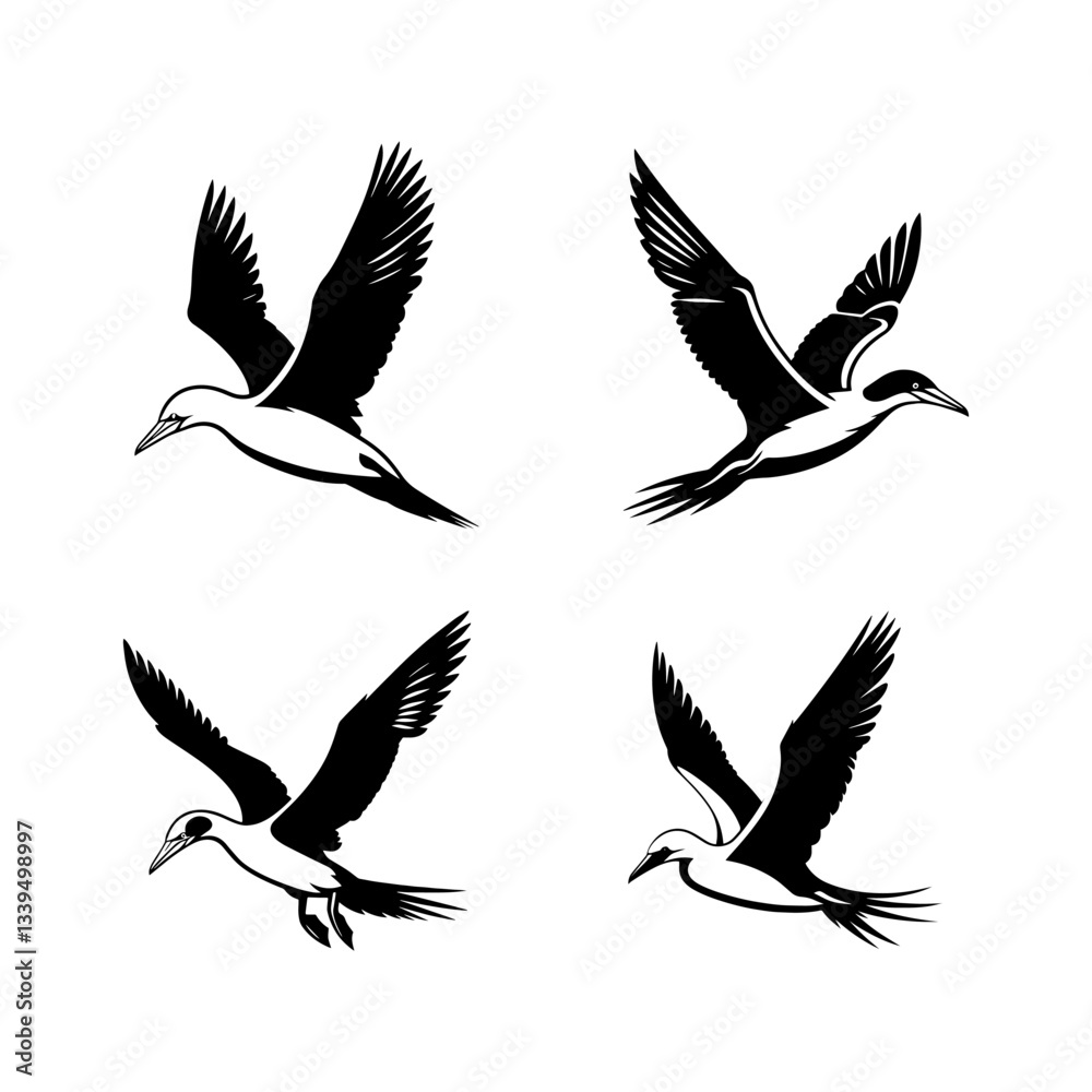 Gannet Flying Silhouette Vector Set – Elegant Seabird Illustration for Marine and Wildlife Designs Gannet Flying Silhouette Vector Set – Elegant Seabird Illustration for Marine and Wildlife Designs
