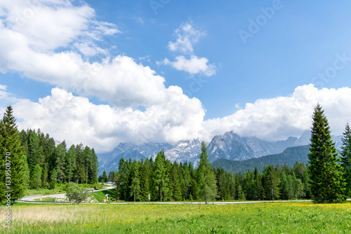 This photo, taken near Danta di Cadore in June 2024, features lush green fields, dense forests, and towering mountains under a bright blue sky, creating a serene and majestic landscape photo