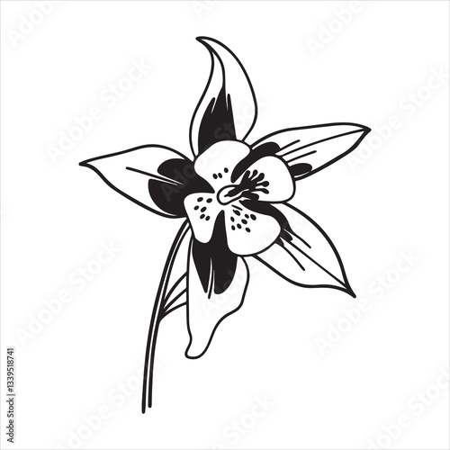 Columbine Blooms – A Nature’s Beauty