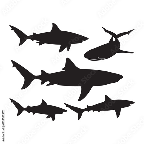 shark vector illustration