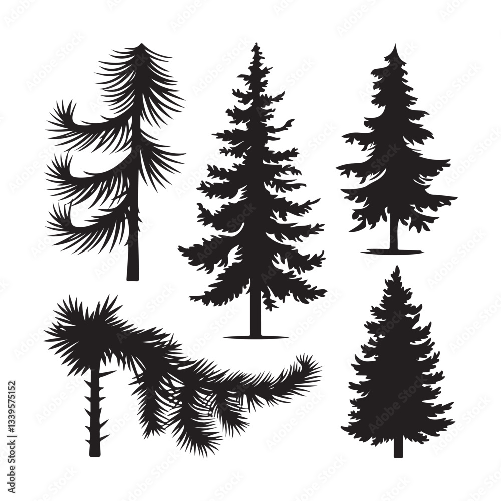 set of fir branches set of fir branches
