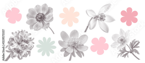 Vintage spring flowers kit in halftone Collage style. Retro elements - Hyacinth, Winter Aconite, Daffodil, Anemone. Trendy stickers for poster art or t-shirt with photocopy dotted effect.