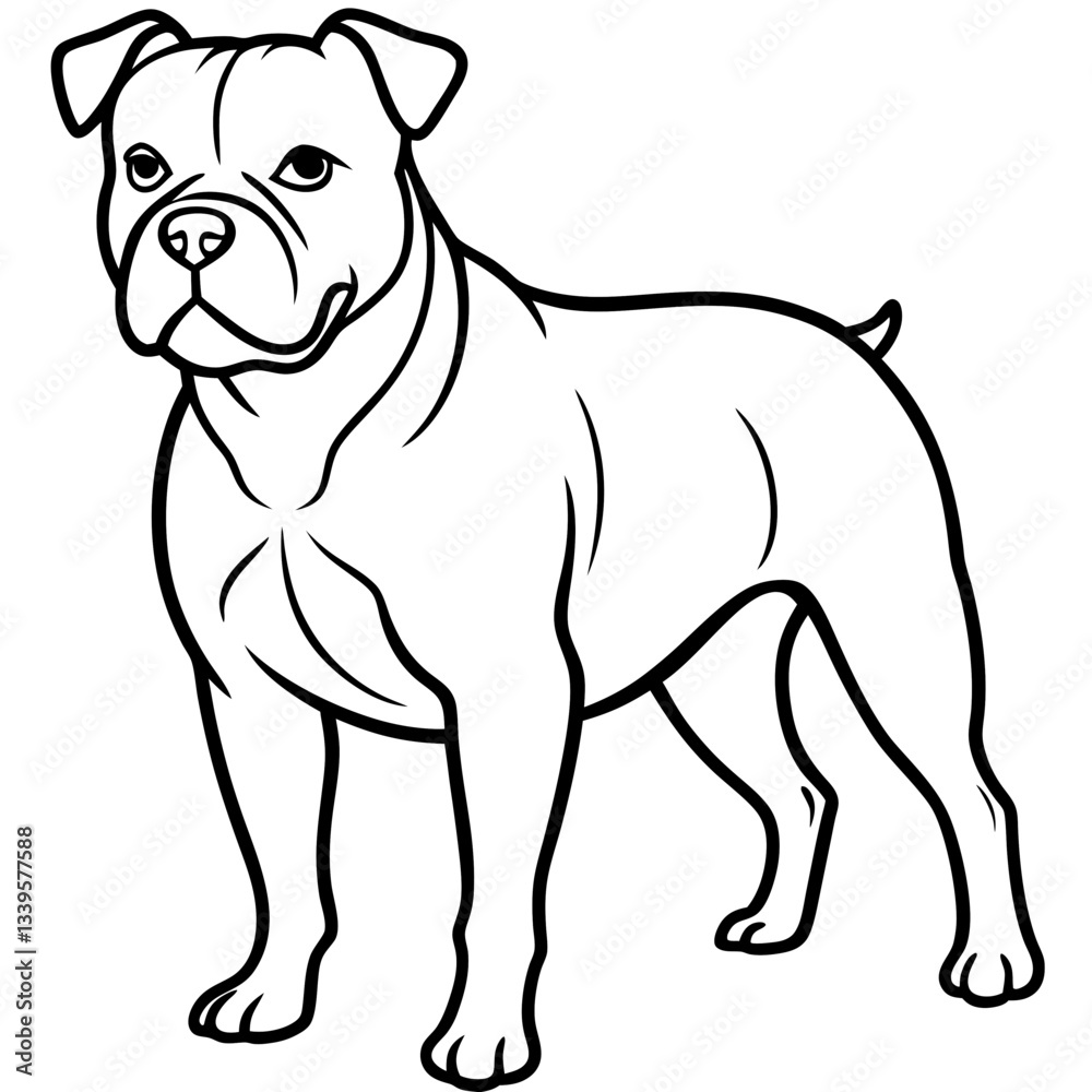 Fototapeta premium A friendly bulldog stands in profile view, isolated on white background illustration vector design