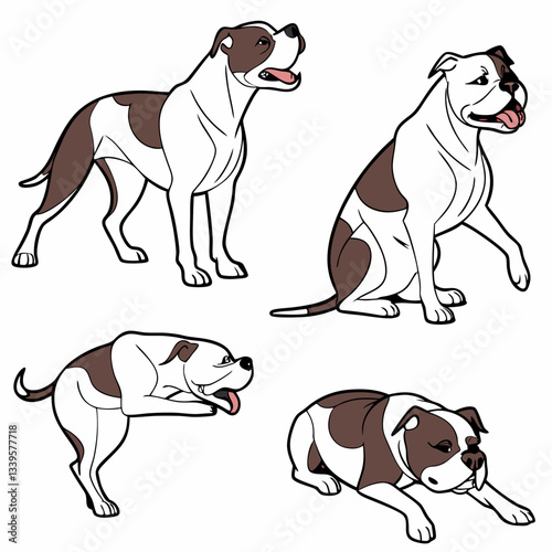 Four illustrations of an american staffordshire terrier in various poses isolated on white background illustration vector design