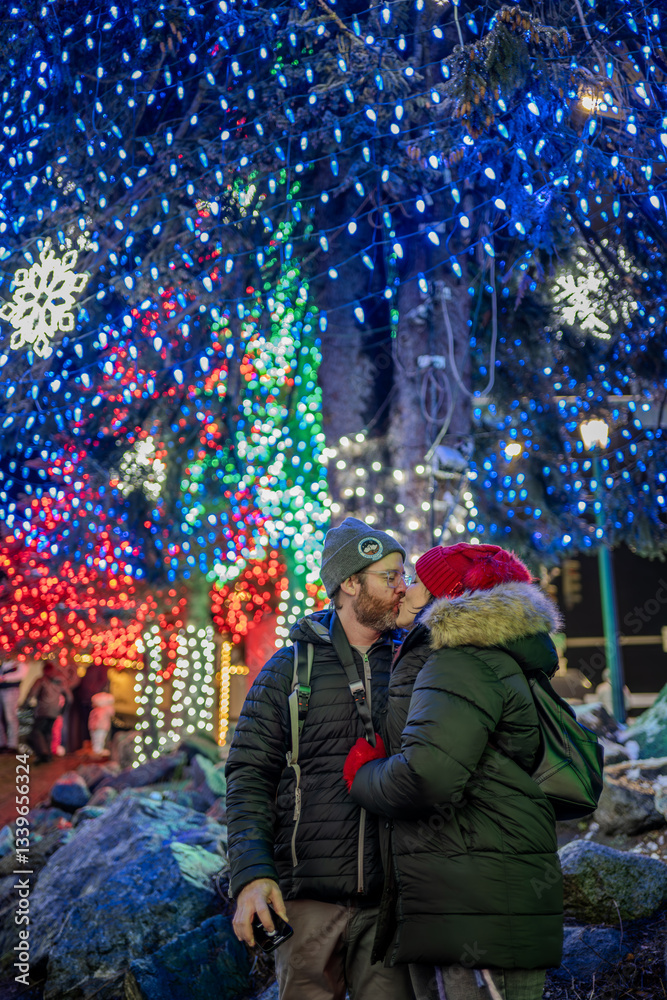 Obraz premium Christmas wonderland