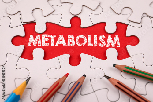METABOLISM. White puzzle pieces and colored pencils photo