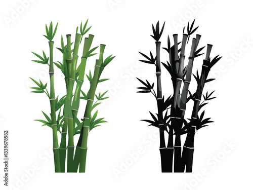 vector bamboo isolated on white background