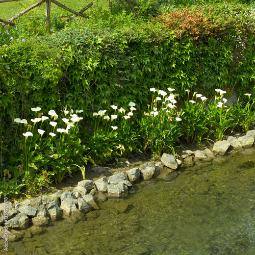 Giardino fiorito, con ruscello