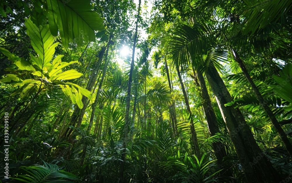 Obraz premium Of a dense jungle with towering trees and thick foliage under a bright tropical sky