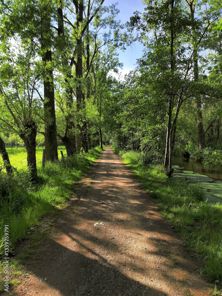 A romantic hiking and cycling trail along the Schwalm River amidst beech trees and pastures. A beautiful recreational area on the left bank of the Lower Rhine. A romantic hiking and cycling trail along the Schwalm River amidst beech trees and pastures. A beautiful recreational area on the left bank of the Lower Rhine.