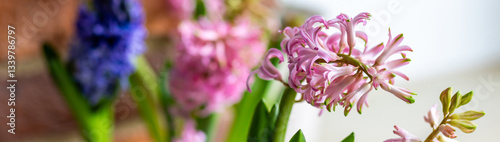 Banner. Fresh floral home decor, Easter holiday preparation. Hyacinth bright pink, violet flowers with bulbs in metal pot. Gardening tools, leisure and hobby concept. Wooden background, springtime