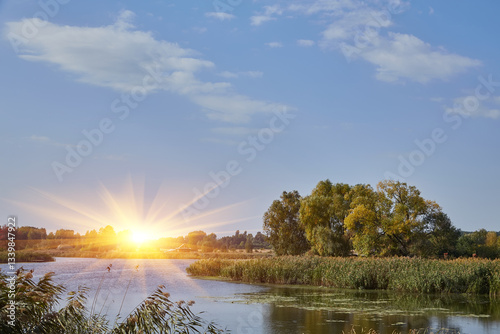 Wallpaper Mural Oder River Landscape with Trees and Reeds Torontodigital.ca