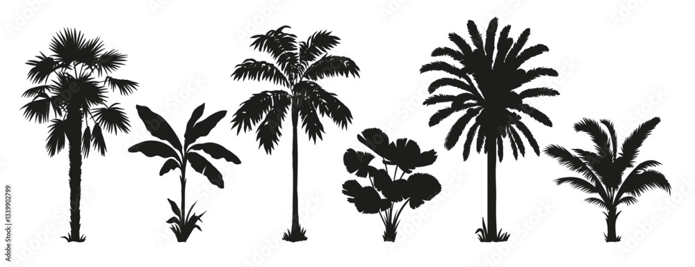 Tropical palm tree set. Collection of monochrome graphic silhouettes. Abstract botanical elements isolated on a white background. Tropical palm tree set. Collection of monochrome graphic silhouettes. Abstract botanical elements isolated on a white background.