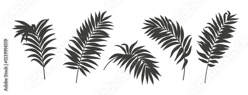 Set of tropical palm leaves. Silhouettes isolated on a white background. Monochrome elements. Black and white design. Vector illustration.