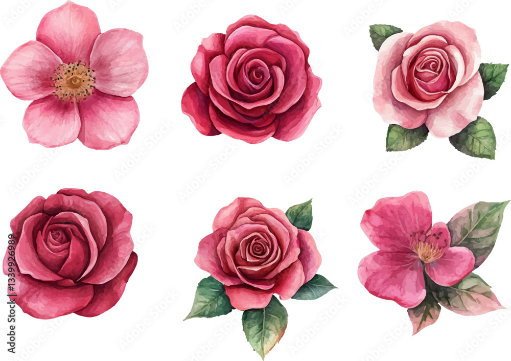 Naklejka premium Watercolor pink roses drawing, Pink roses flower printable, Watercolor pink roses sketch, Pink roses flower motif, Watercolor pink roses 