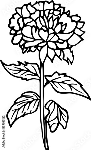 Flower line art illustration, floral vector drawing