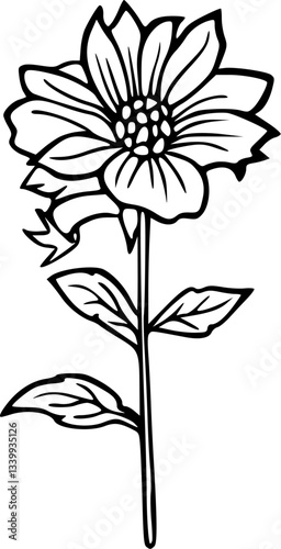 Flower line art illustration, floral vector drawing