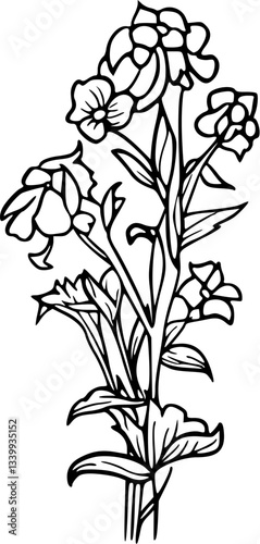 Flower line art illustration, floral vector drawing