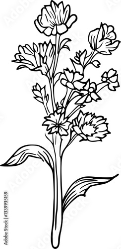 Flower line art illustration, floral vector drawing