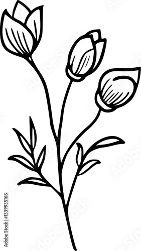 Flower line art illustration, floral vector drawing