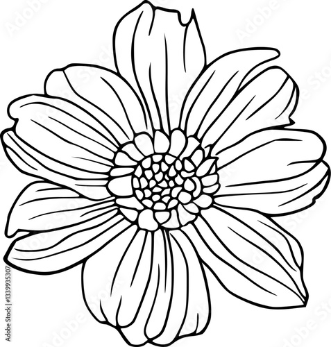 Flower ornament line art illustration, floral vector drawing