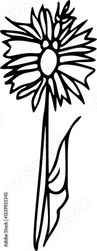 Flower line art illustration, floral vector drawing