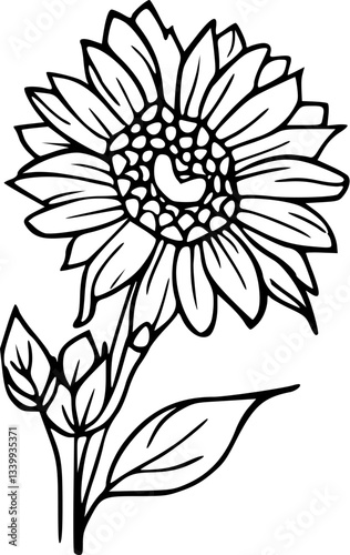 Flower line art illustration, floral vector drawing