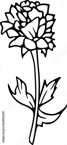 Flower line art illustration, floral vector drawing