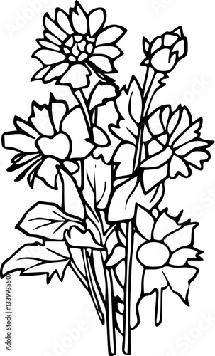 Flower line art illustration, floral vector drawing